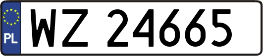 WZ24665