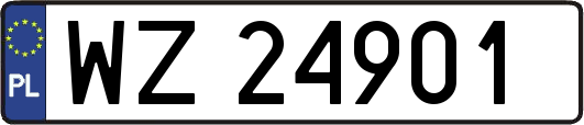WZ24901
