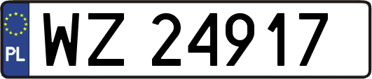 WZ24917