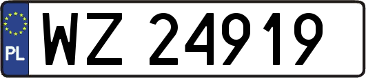 WZ24919