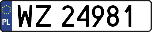 WZ24981