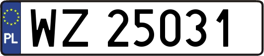 WZ25031
