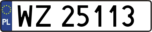 WZ25113