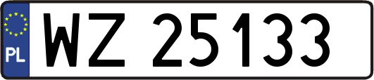 WZ25133