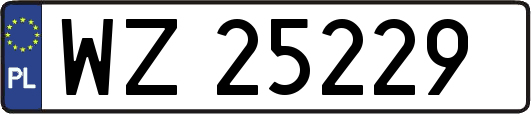 WZ25229
