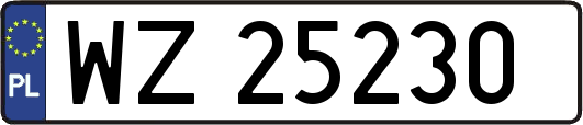 WZ25230