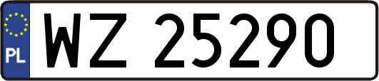 WZ25290