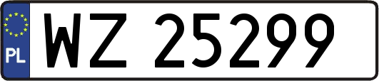 WZ25299