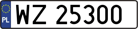 WZ25300