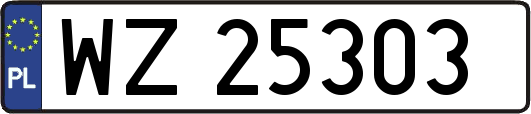 WZ25303