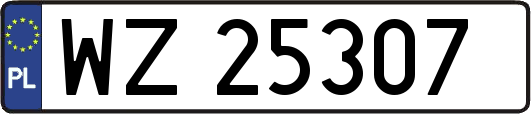 WZ25307