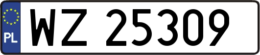 WZ25309