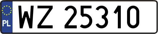 WZ25310