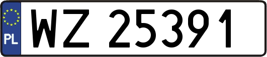 WZ25391