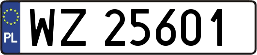 WZ25601