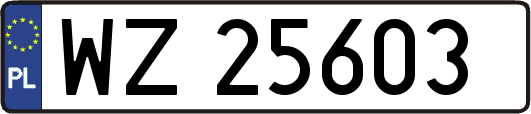 WZ25603