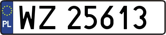 WZ25613