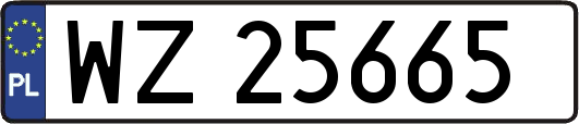 WZ25665