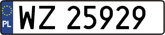 WZ25929