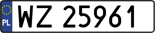 WZ25961