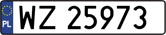 WZ25973