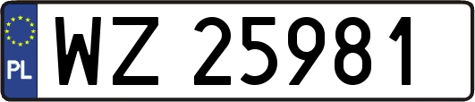 WZ25981