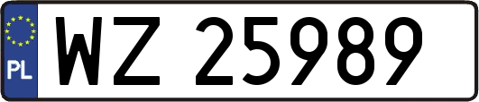 WZ25989