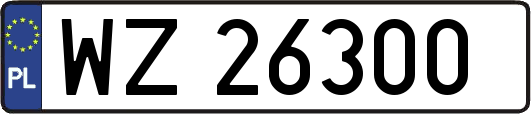 WZ26300