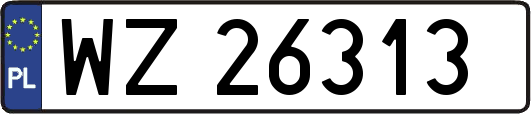 WZ26313