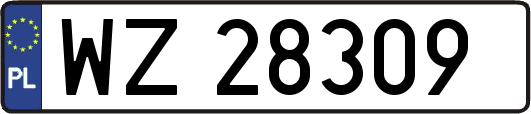 WZ28309