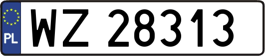 WZ28313