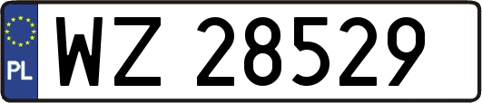 WZ28529