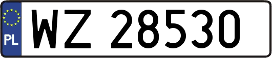 WZ28530