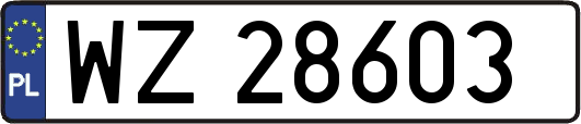 WZ28603