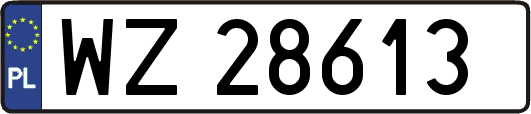 WZ28613