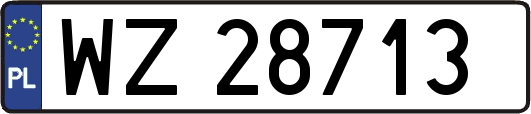 WZ28713