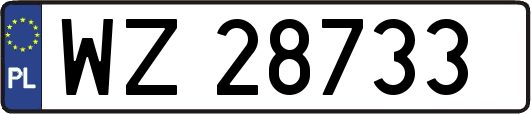 WZ28733
