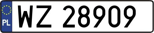 WZ28909