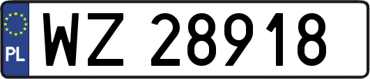 WZ28918