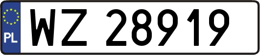 WZ28919