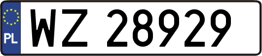 WZ28929