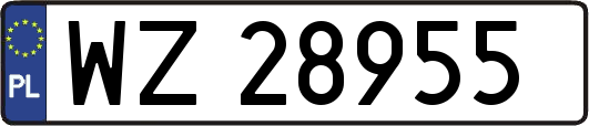WZ28955