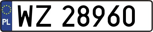 WZ28960