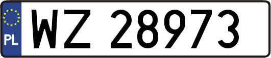 WZ28973