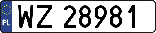 WZ28981
