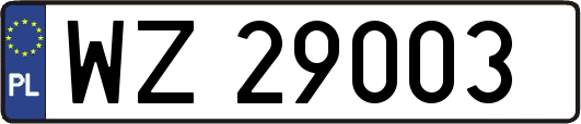 WZ29003