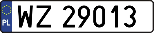 WZ29013