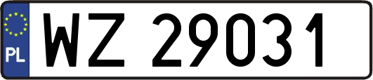 WZ29031