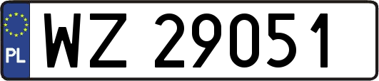 WZ29051