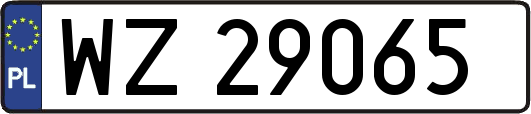 WZ29065